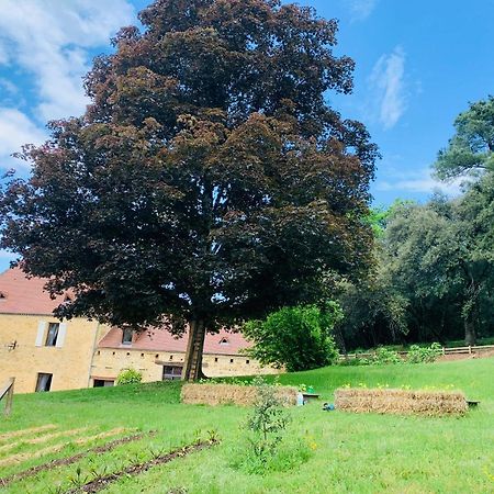 Willa L'Ecrin Des Symes Simeyrols Zewnętrze zdjęcie